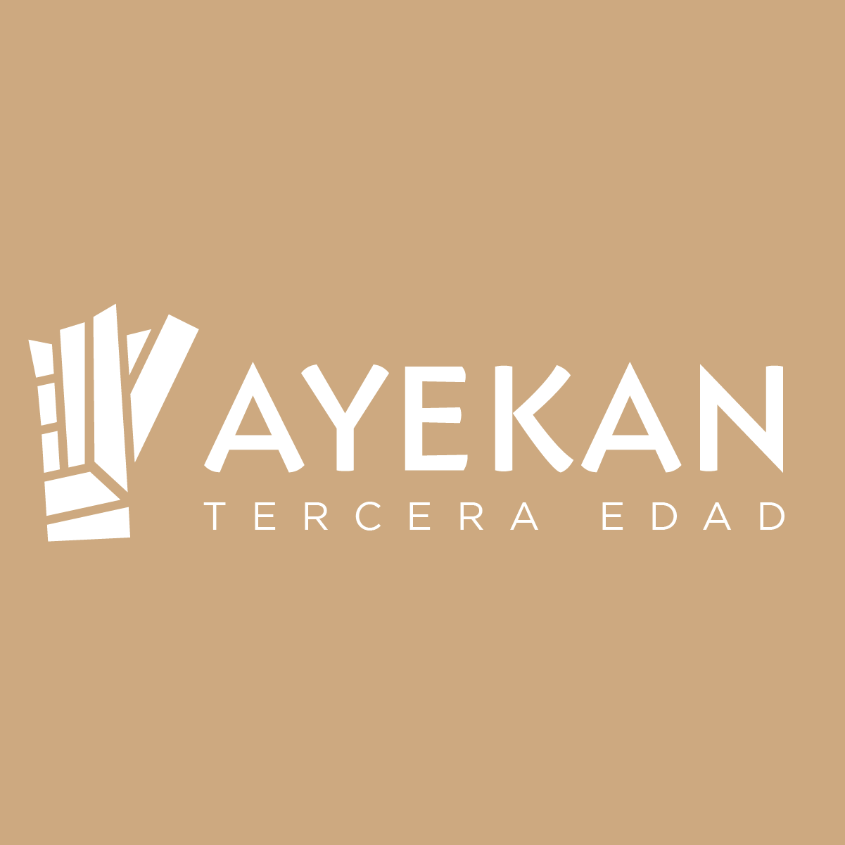 Ayekan Tercera Edad